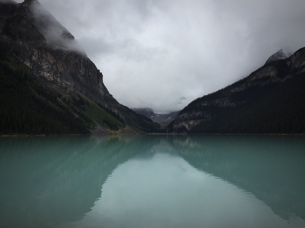 We Are Nature: Reflections on the Ecological Crisis