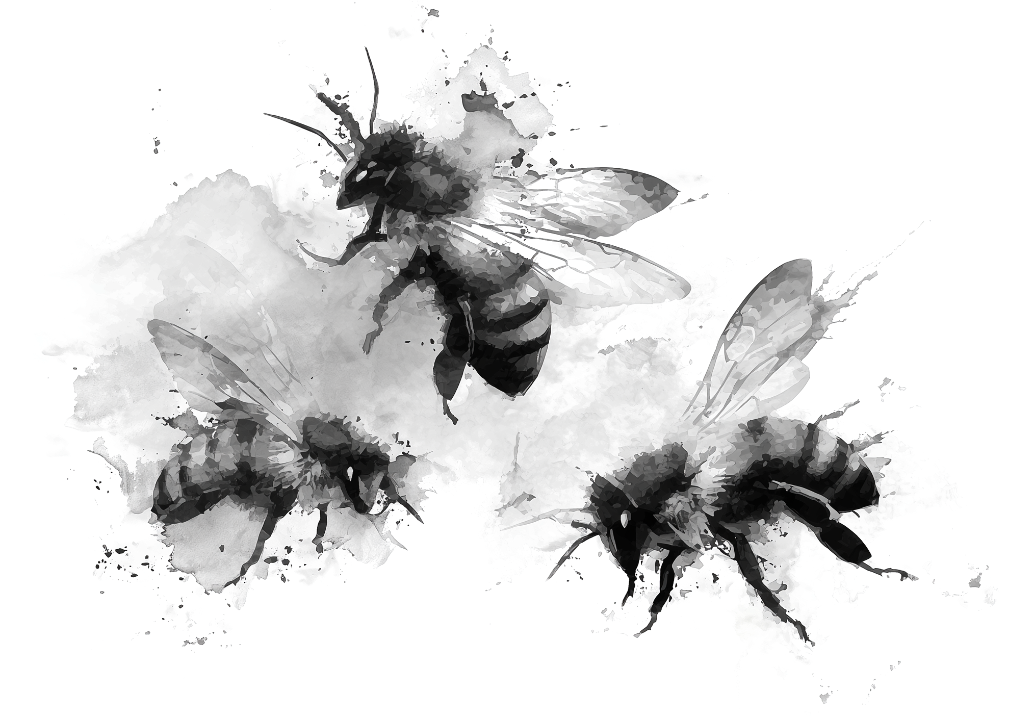 Three bees in flight, painted in black and grey ink with delicate translucent wings.