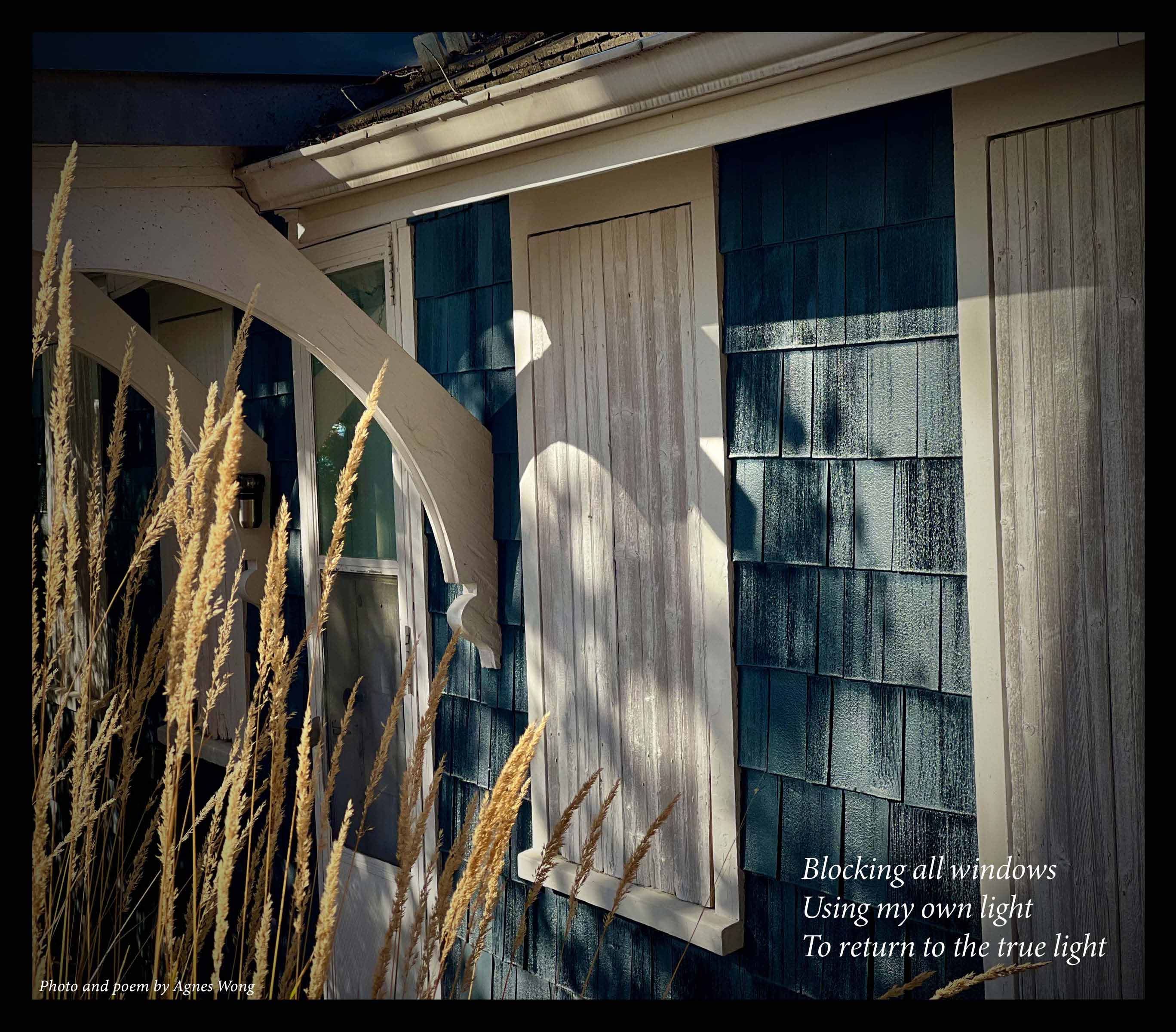 Closed pale wooden shutters on a blue-shingled house catch the sunlight, with tall golden grasses in the foreground.