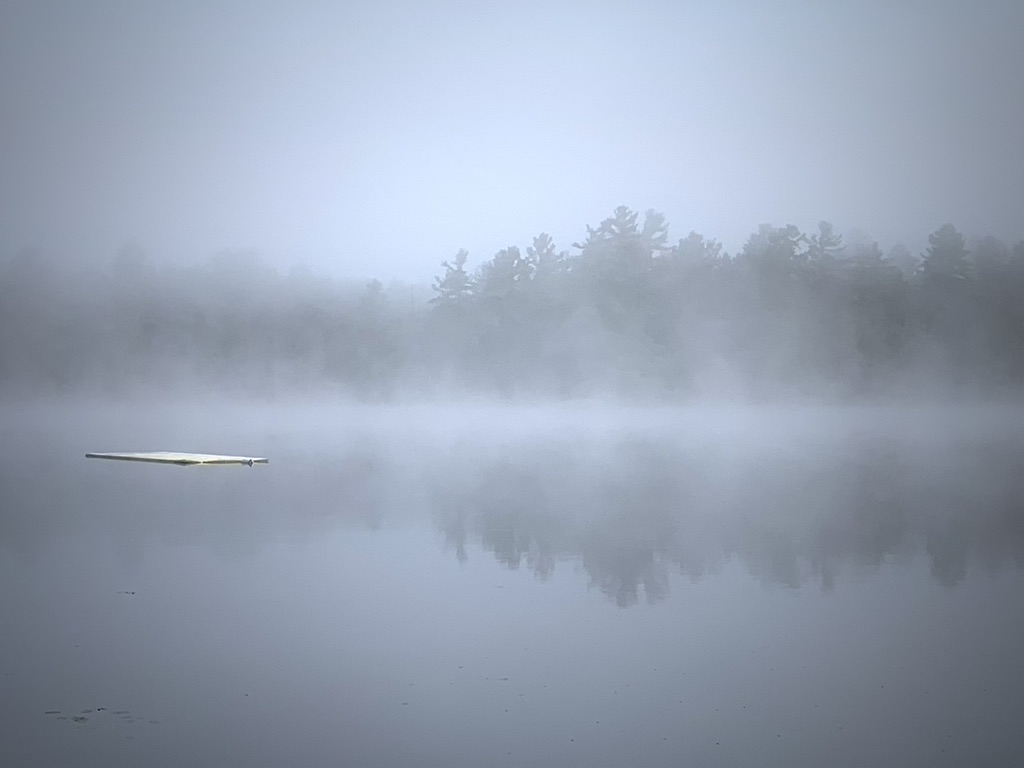 Still lake reflecting trees in morning mist, with a floating log in the foreground
