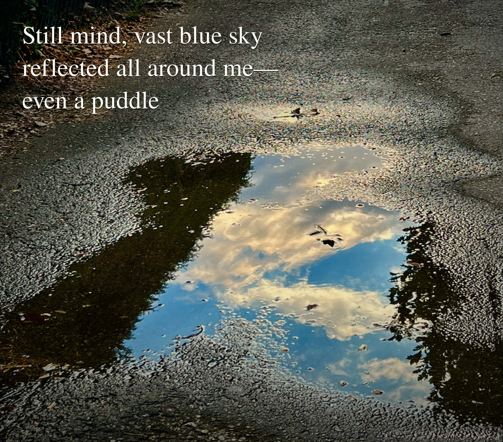 A blue sky and clouds reflected in a puddle on a quiet path. Haiku: Still mind, vast blue sky / reflected all around me— / even a puddle