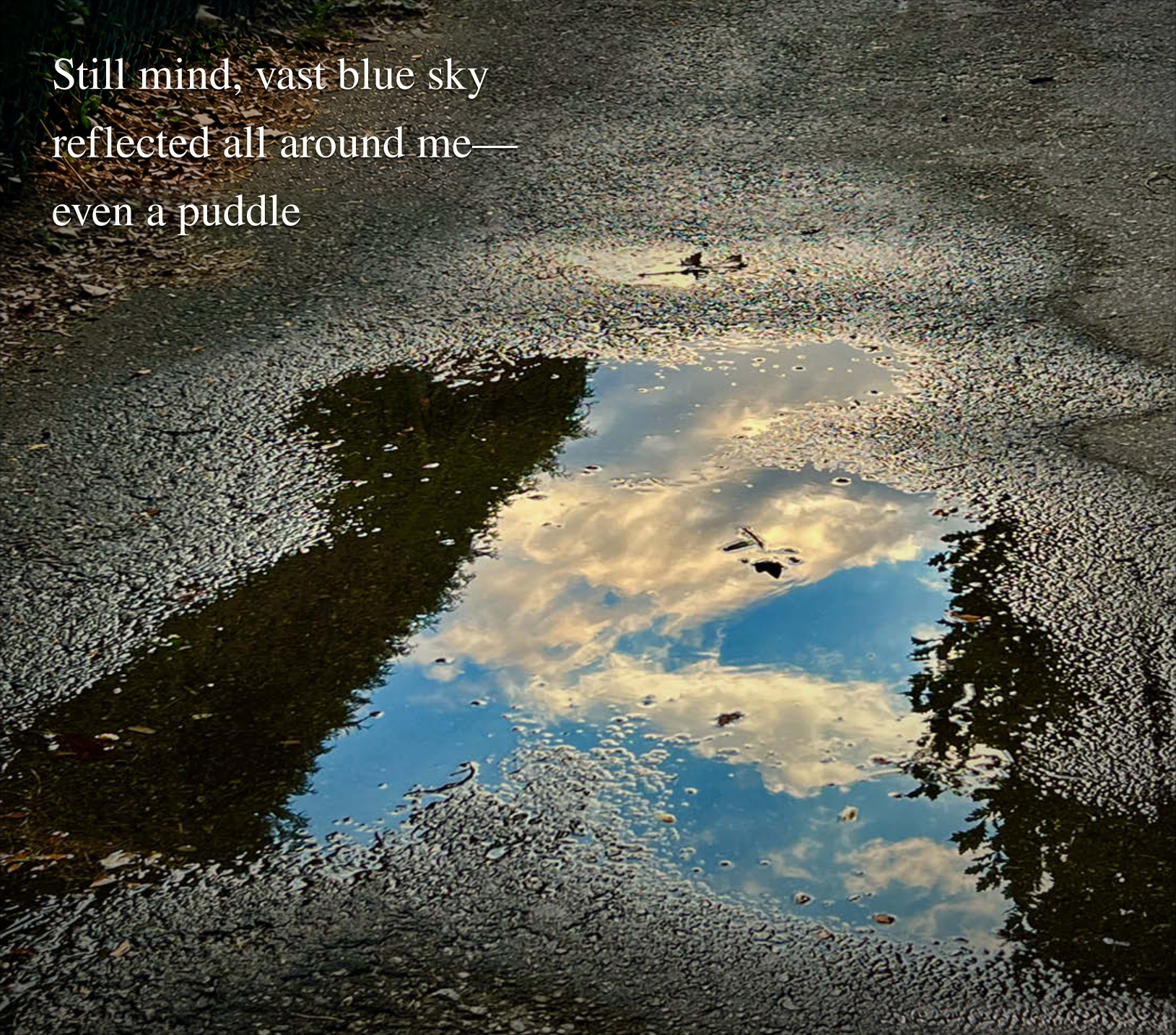 A blue sky and clouds reflected in a puddle on a quiet path. Haiku: Still mind, vast blue sky / reflected all around me— / even a puddle