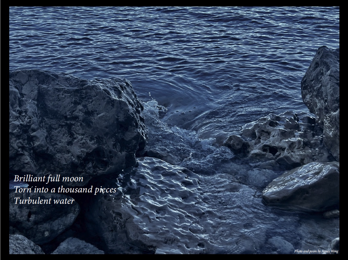 Dark blue water moves between large rocks, with silvery reflections on its ripples.